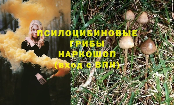 стафф Алзамай