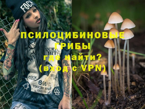 стафф Алзамай